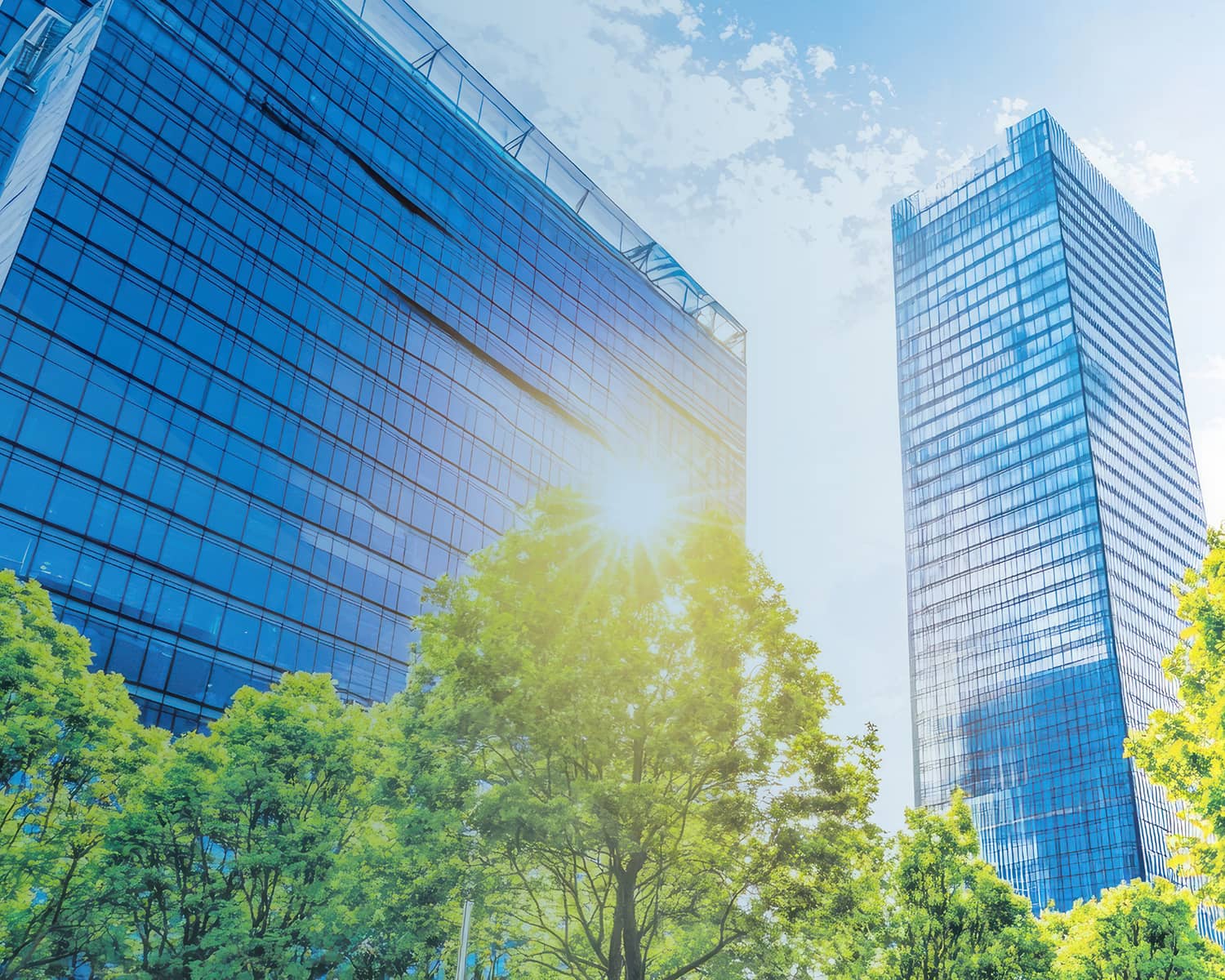 CORPORATE IDENTITY 会社理念